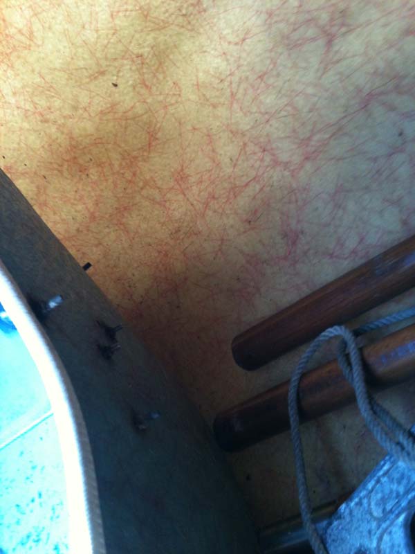 [Immagine: 201222013174_interno gavone.JPG]